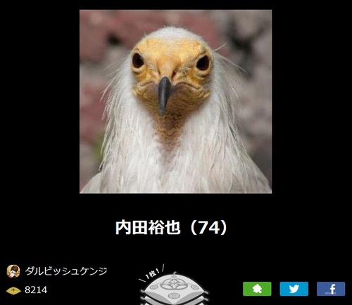 984.jpg