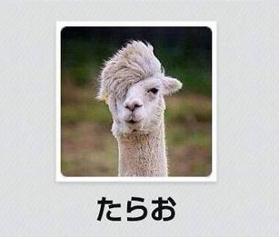 たらお.jpg