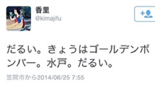 ディスクガレージ (3).jpg