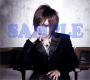 gb_sample1.jpg