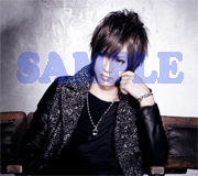 gb_sample2.jpg