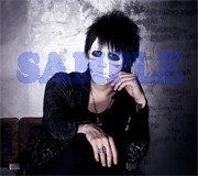 gb_sample4.jpg