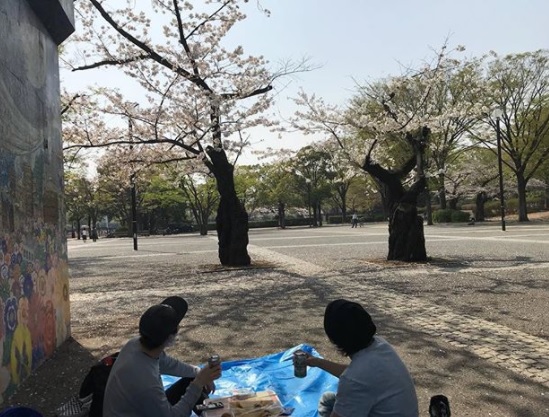 喜矢武さん塩田康平さんと渋いお花見…( ´ ▽ ` )ノ