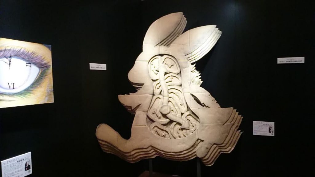 kyanba (1)