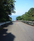 ゆった~1.JPG