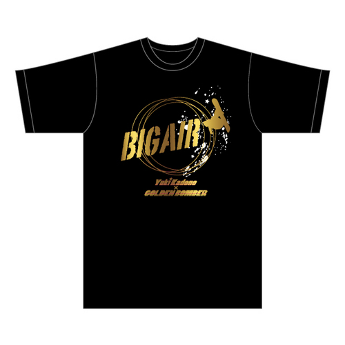 gb_bigair_tshrts_g.jpg