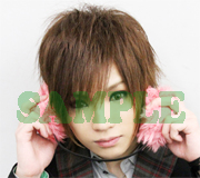 gb_sample13_1.jpg