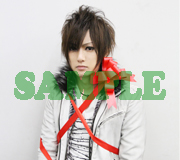 gb_sample18_2.jpg