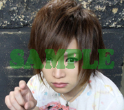 gb_sample20_1.jpg