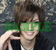 gb_sample20_2.jpg