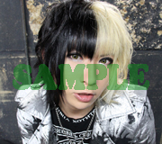 gb_sample20_3.jpg