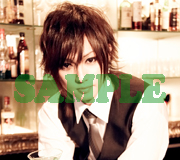gb_sample38_2.jpg