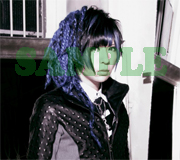 gb_sample73.jpg