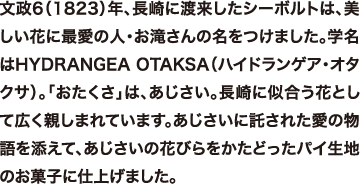 p-01.png